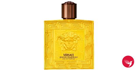 nouveau parfum versace